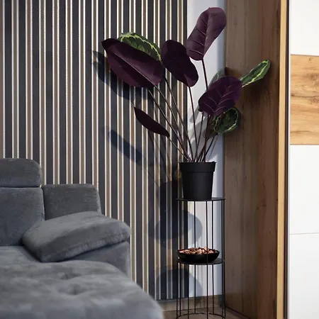 Spacious N' Cozy 5bedroom On Terez Boulevard Apartment Budapest